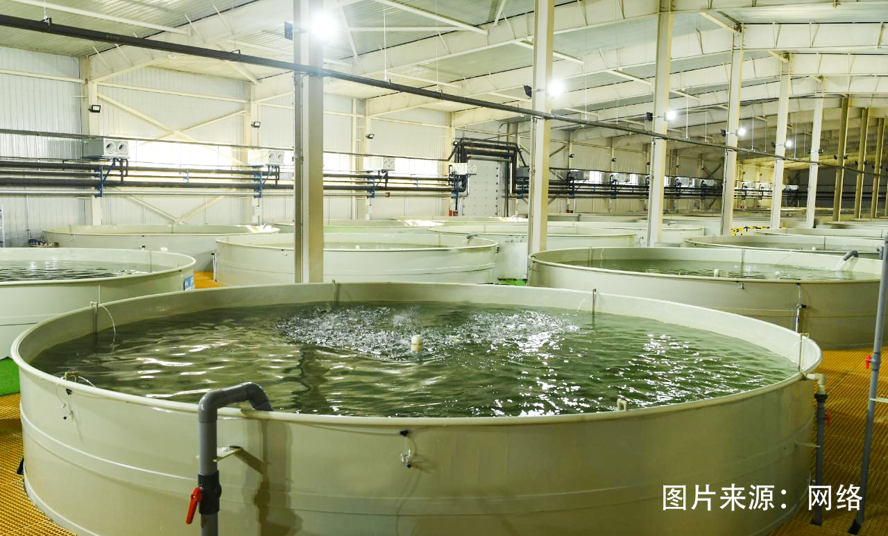 海水养殖试验基地图片.jpg